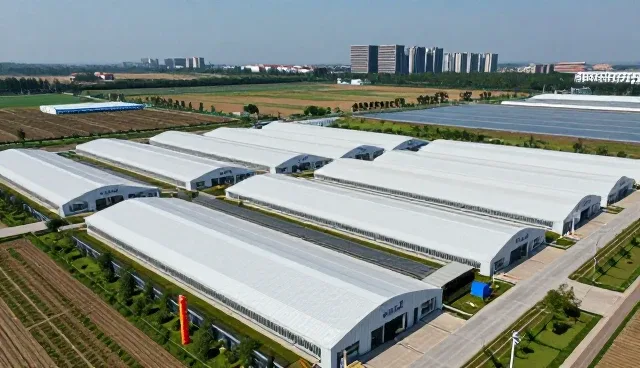 团队协作工具选型中的性能考量与实际应用