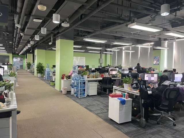 高邮华露天蜗牛养殖培育