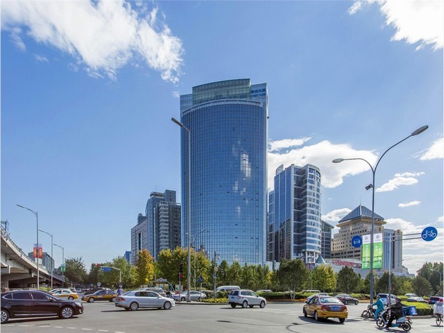 山东海绵采样拭子全国发货