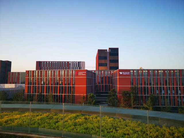 贵州pet膜定做价格