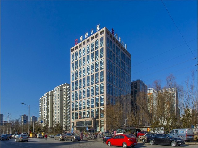 江苏大型蹦床供应