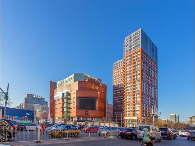 浙江红叶李苗木销售服务价钱